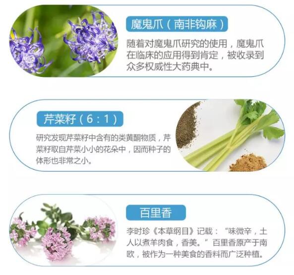 加拿大的健康营养一线品牌美柏莱